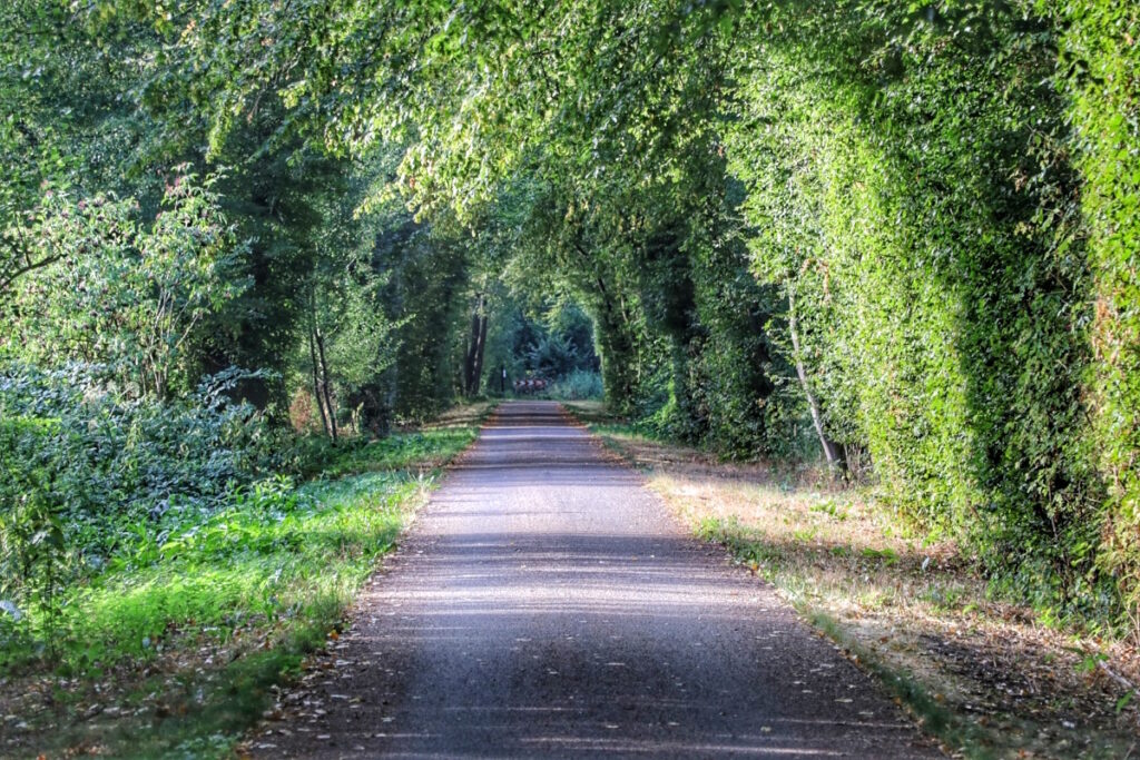 The former railway line between Hulst and Sint-Niklaas Sign